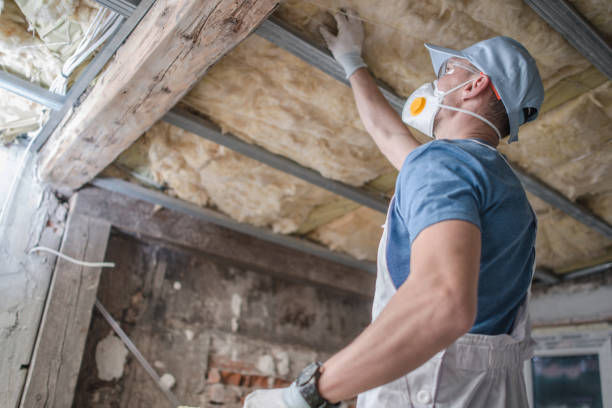 Types of Insulation We Offer in Pinckneyville, IL