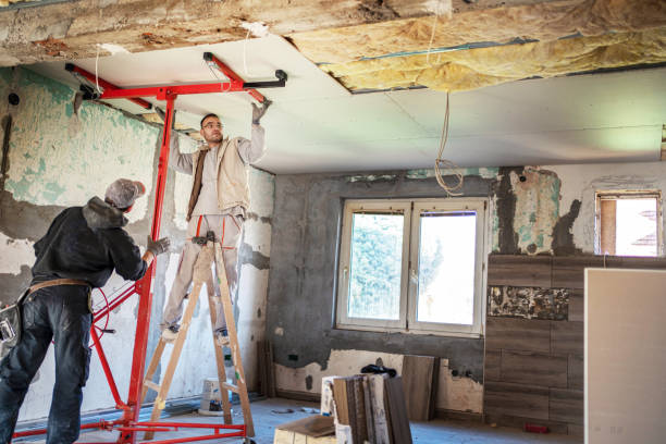 Best Spray Foam Insulation in Pinckneyvle, IL