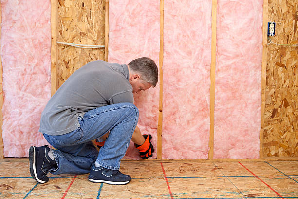 Best DIY Insulation Kits and Guidance in Pinckneyvle, IL