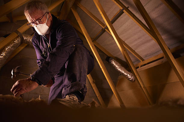 Best Residential Insulation in Pinckneyvle, IL