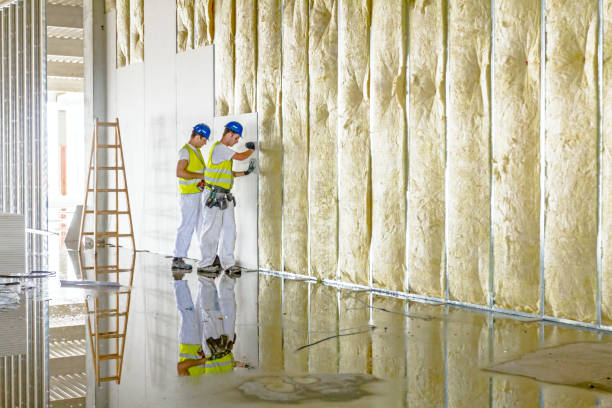 Types of Insulation We Offer in Pinckneyville, IL